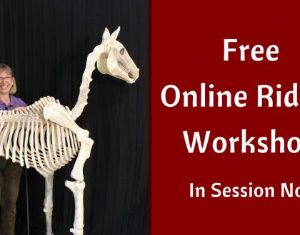 UNLOCKING THE MYTHS & MYSTERIES OF RIDING: FREE ONLINE WORKSHOP