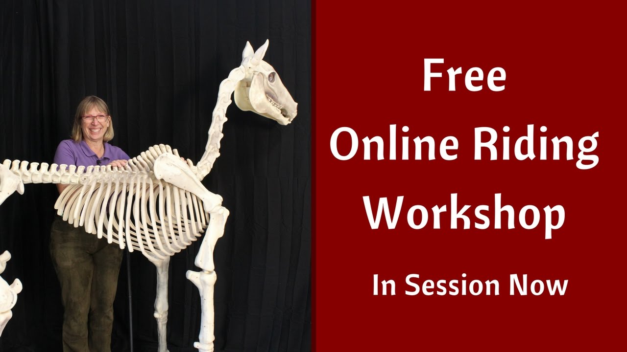 UNLOCKING THE MYTHS & MYSTERIES OF RIDING: FREE ONLINE WORKSHOP