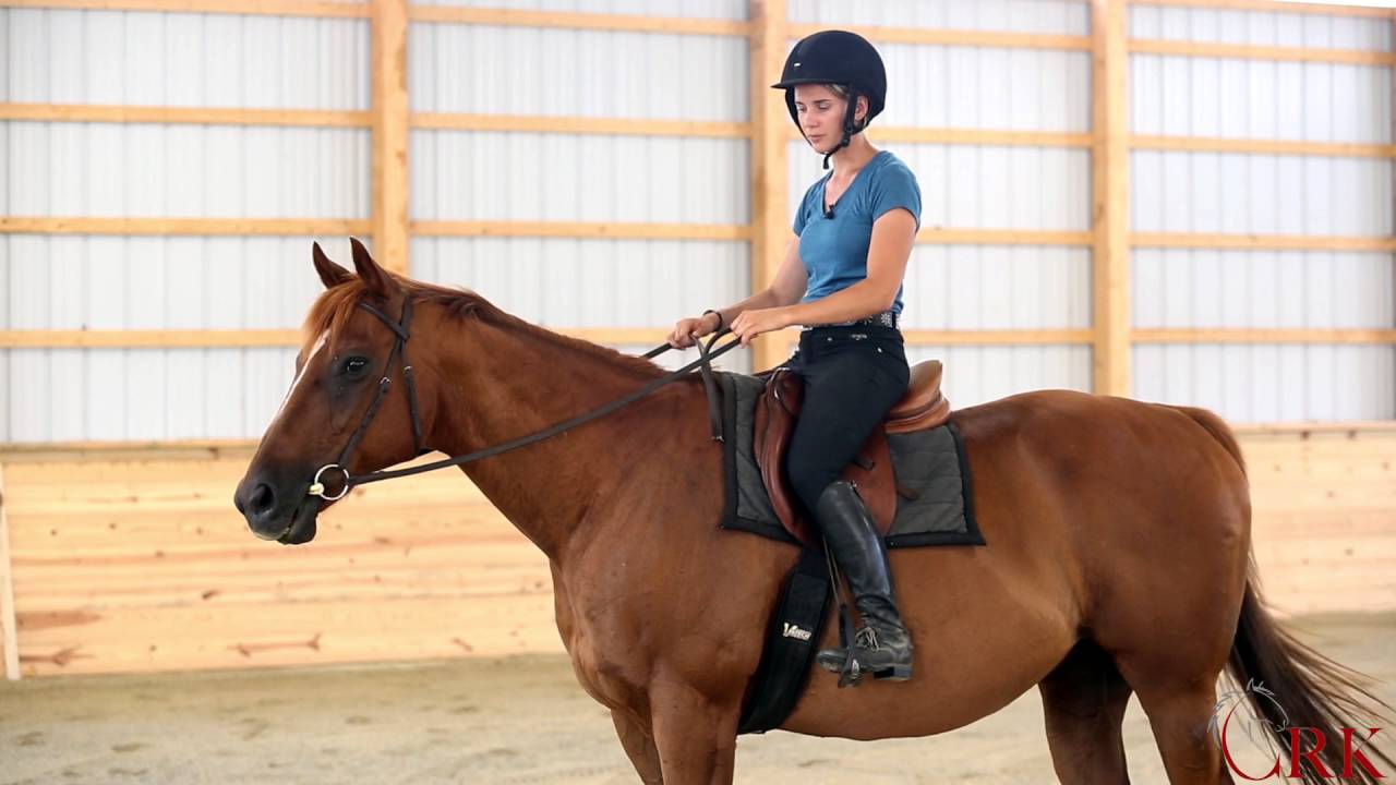 HOW LONG SHOULD YOUR REINS BE?